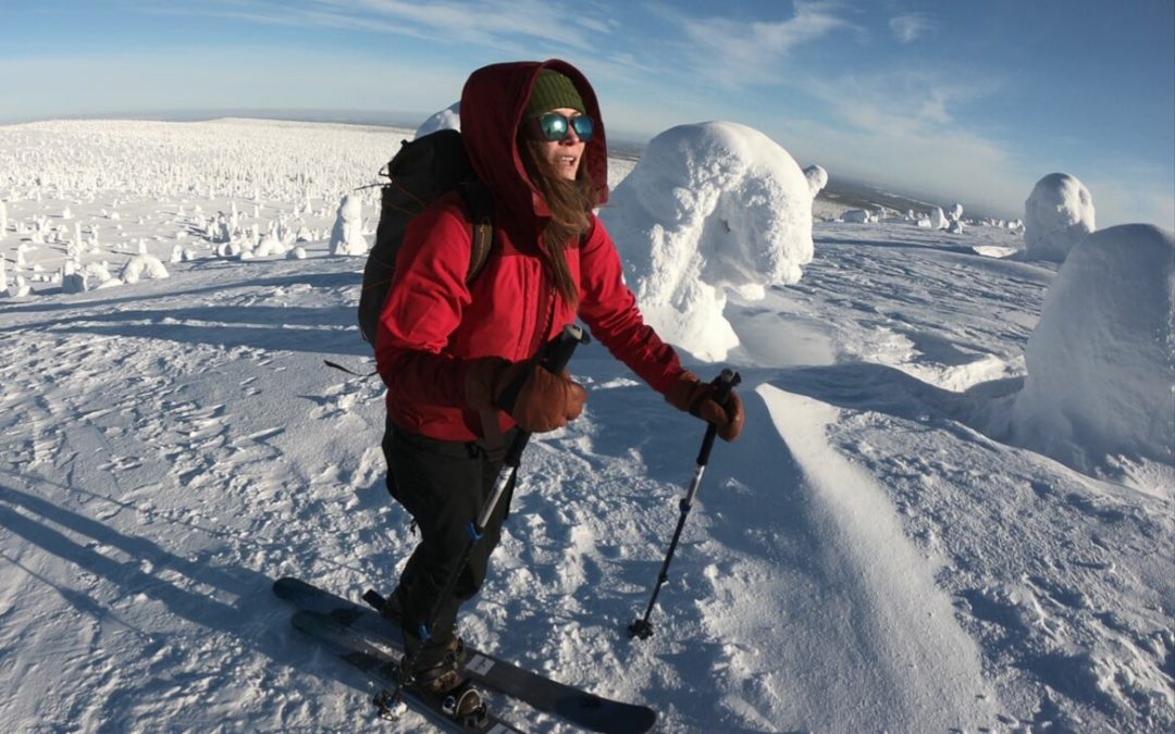 Arctic skitour to Riisitunturi National park (5 hours)